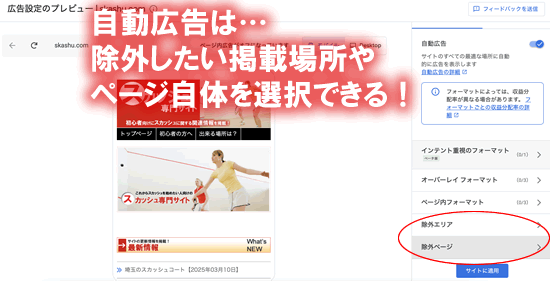 アドセンスの自動広告は除外しあち掲載場所やページを選択できる!