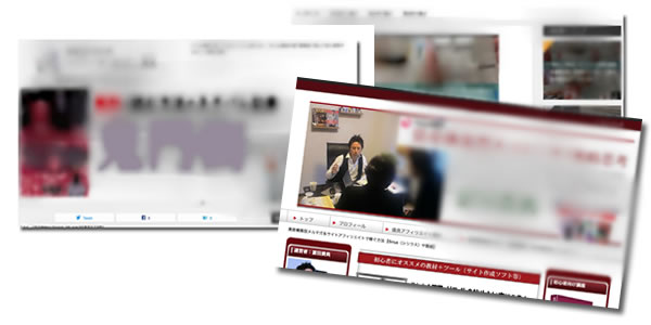 私のアフィリエイトサイトやブログ、メルマガ資産の一部