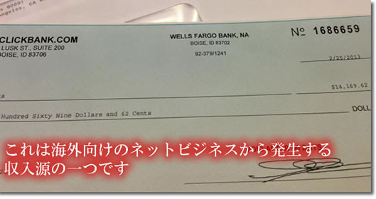 海外ネットビジネスからの収入源