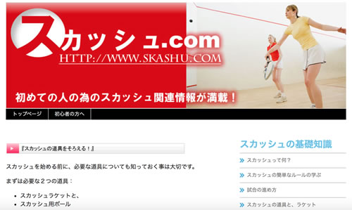 アドセンスで稼いでいるスカッシュブログ